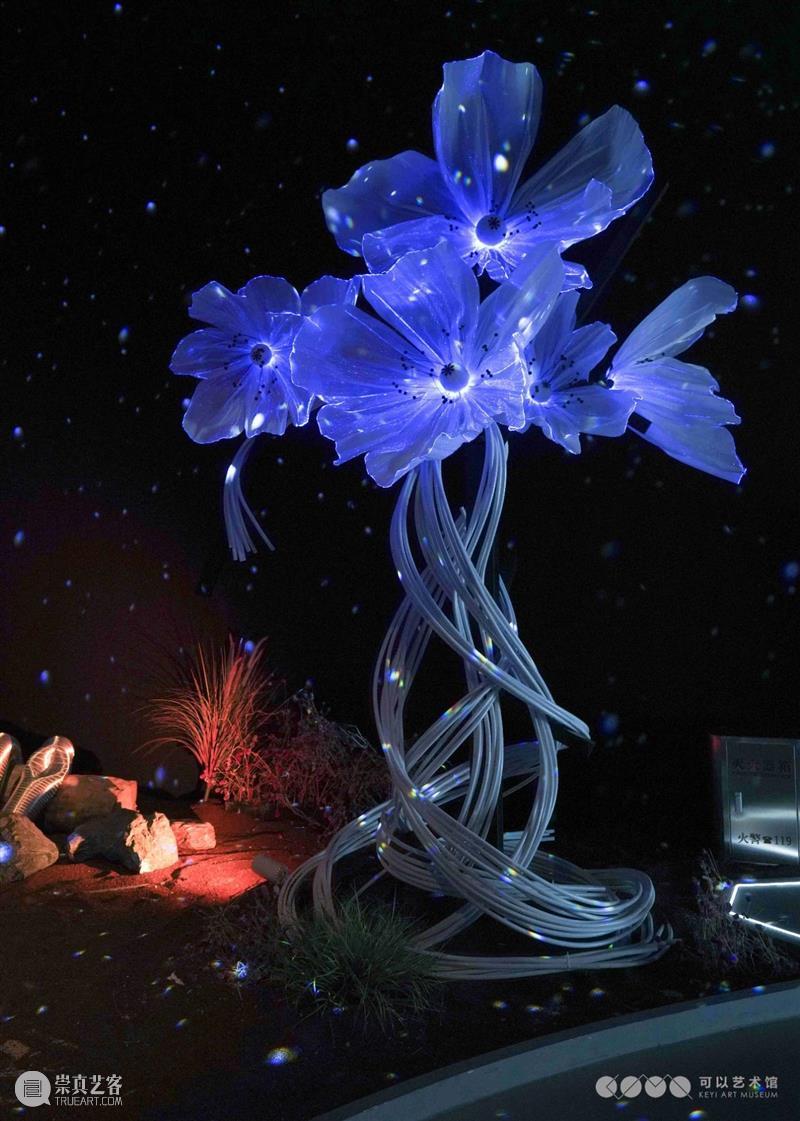 北京10月 | 20个不可错过的新媒体艺术展 崇真艺客