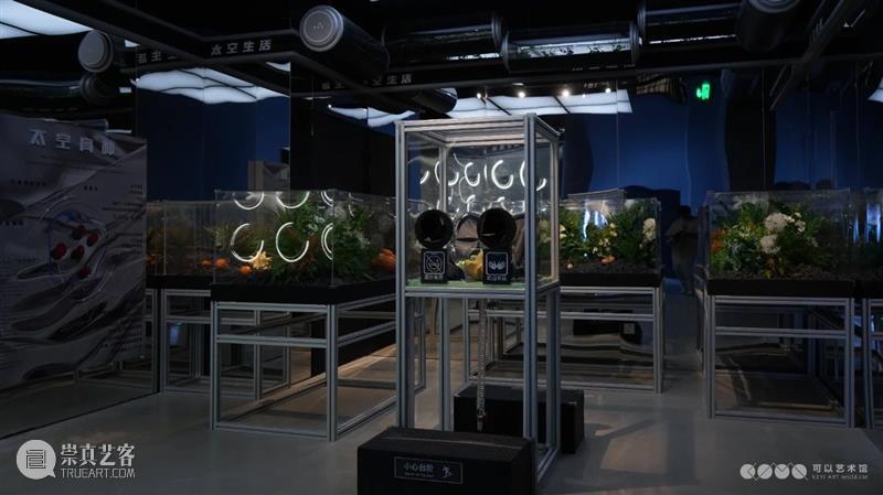 北京10月 | 20个不可错过的新媒体艺术展 崇真艺客