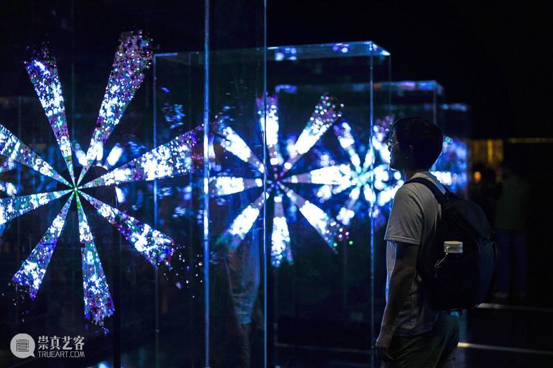 北京10月 | 20个不可错过的新媒体艺术展 崇真艺客