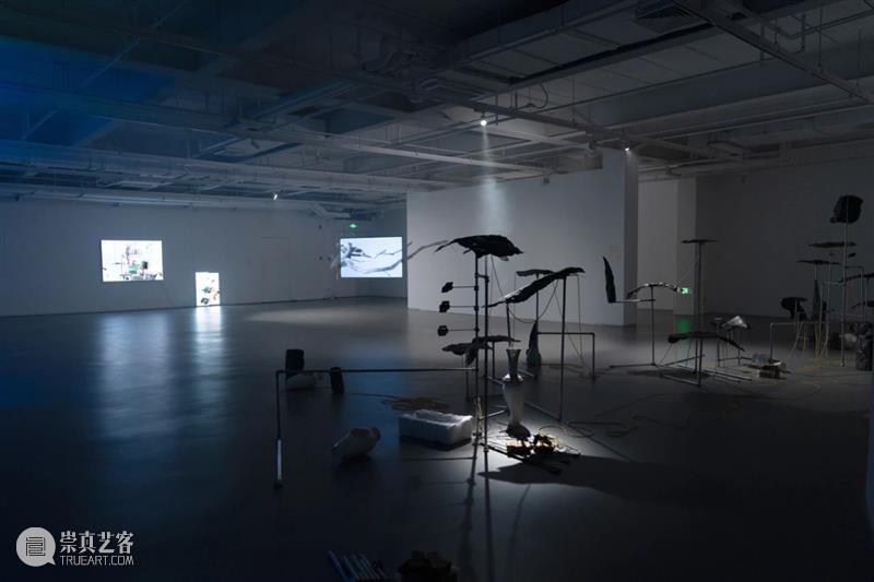 北京10月 | 20个不可错过的新媒体艺术展 崇真艺客