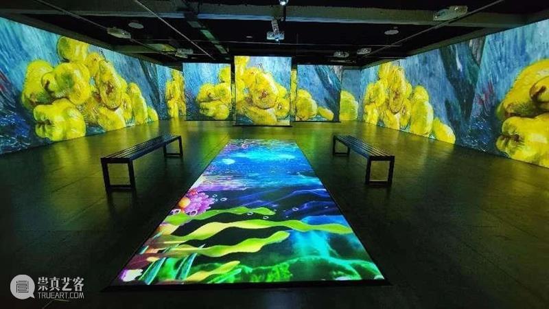 北京10月 | 20个不可错过的新媒体艺术展 崇真艺客