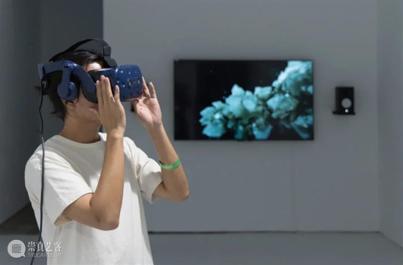 北京10月 | 20个不可错过的新媒体艺术展 崇真艺客