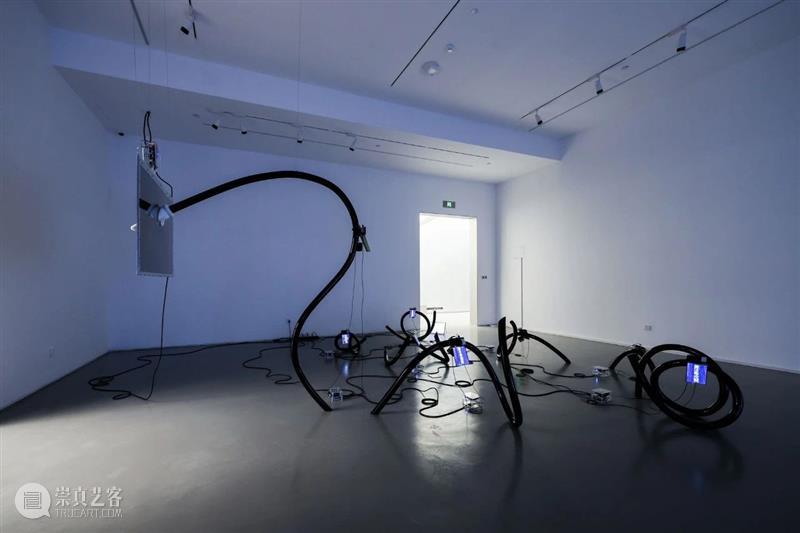 北京10月 | 20个不可错过的新媒体艺术展 崇真艺客