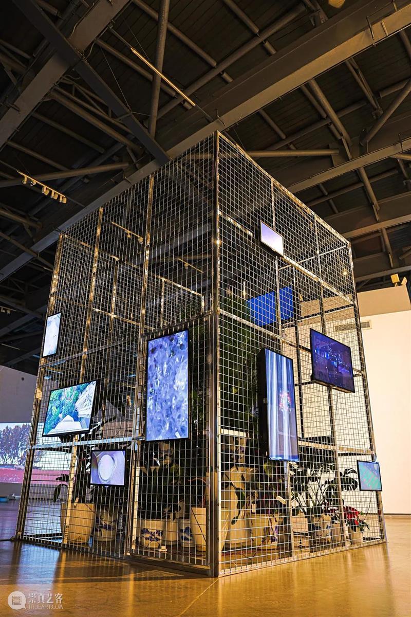隔“身”投送的现实 | AMNUA现场 崇真艺客