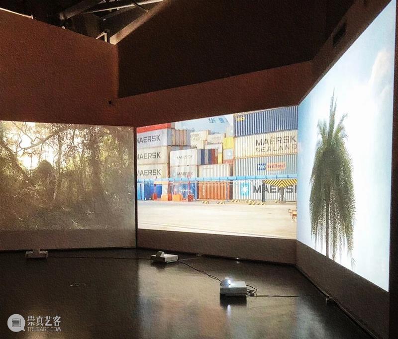 隔“身”投送的现实 | AMNUA现场 崇真艺客