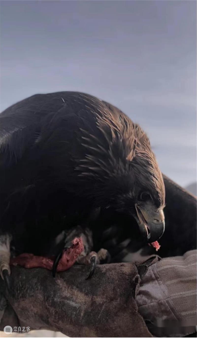 【IFA-民族艺术】柯尔克孜族服饰 | 失落于高原的猎鹰 崇真艺客