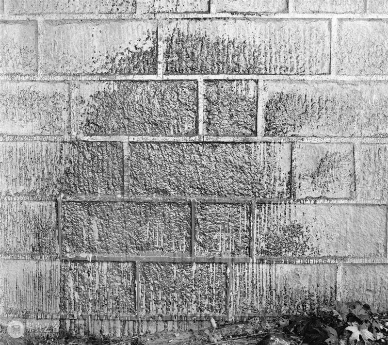 【沙龙】《付羽：银盐写生》摄影书分享与原作鉴赏｜北京 崇真艺客