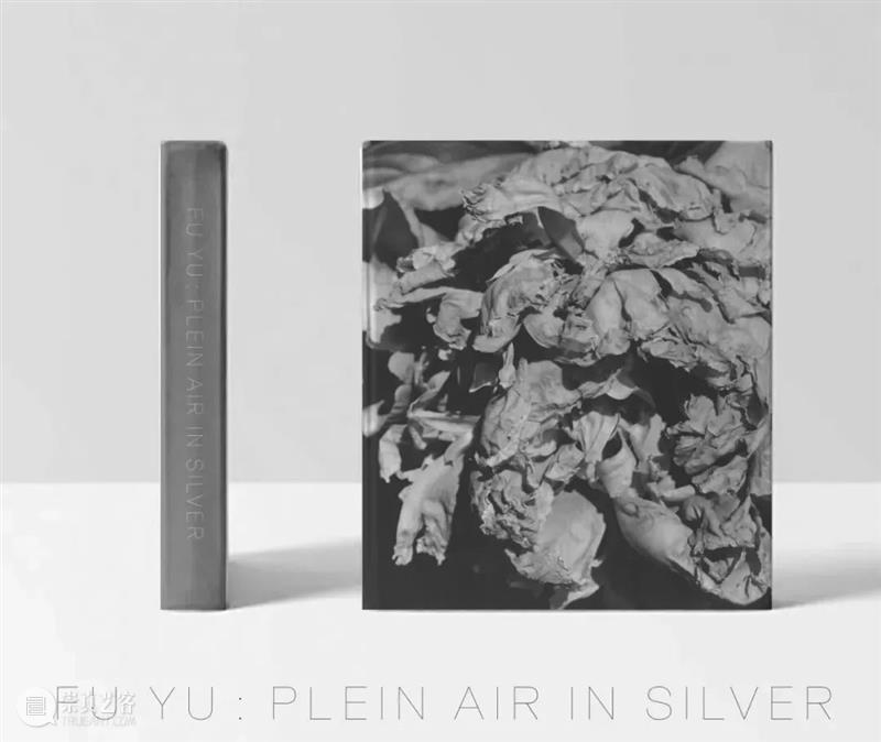 【沙龙】《付羽：银盐写生》摄影书分享与原作鉴赏｜北京 崇真艺客