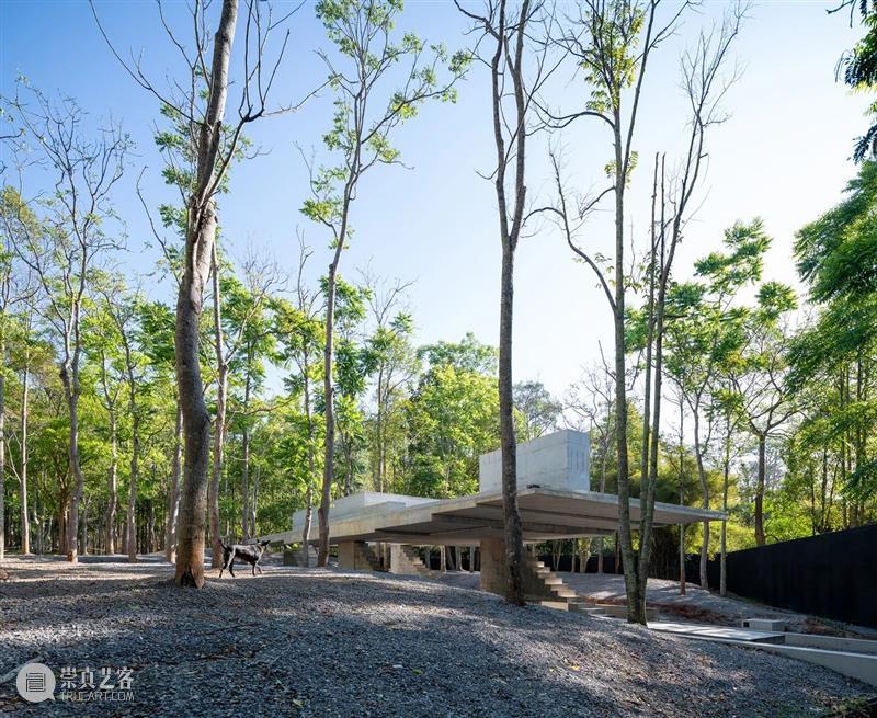无墙无界咖啡店 / JOYS Architects 崇真艺客