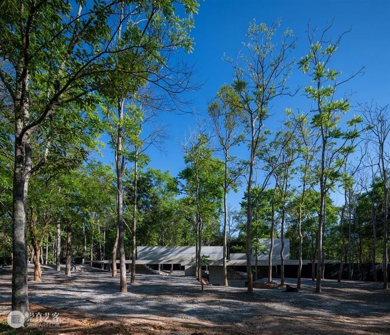 无墙无界咖啡店 / JOYS Architects 崇真艺客