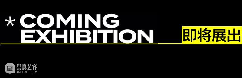 上海国际艺术节｜HOW参展项目｜张鼎&金氏彻平：两个俱乐部 崇真艺客