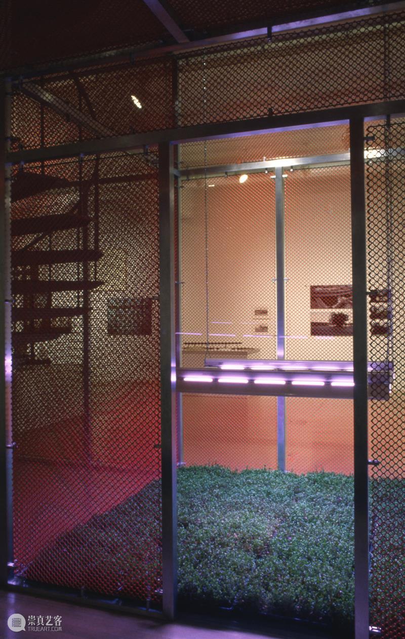 悼念「光与空间」艺术先锋罗伯特·欧文 Robert Irwin 1928–2023 崇真艺客