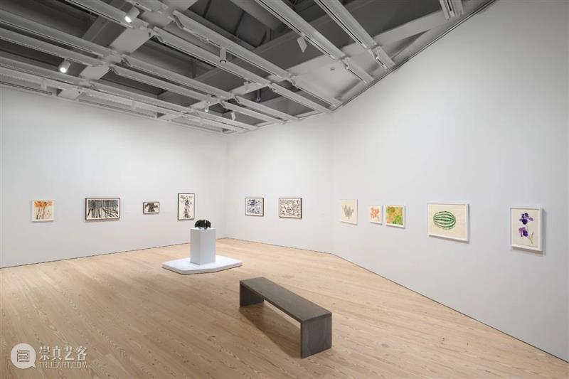 《纽约时报》评鲁斯·阿萨瓦（Ruth Asawa）惠特尼个展 崇真艺客