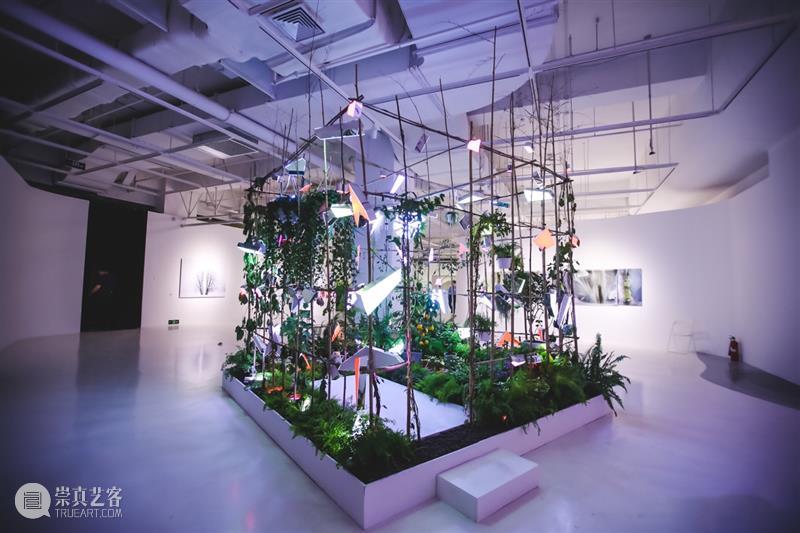 M艺术空间展览访谈｜刘真辰：在可控与不可控之间 视频资讯 M艺术空间 刘真辰 艺术 空间 之间 个展 Panacea 冰碑 万花筒 系列 架上 崇真艺客