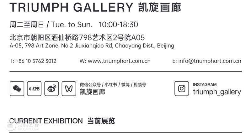 TRIUMPH｜「LalLal湖的昼与夜：许宏翔澳洲驻留项目」在墨尔本LalLal美术馆开幕 崇真艺客