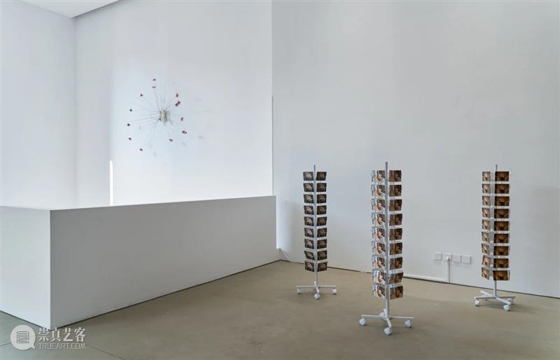 展览｜正式开幕：群展“相去几何” & “海边影像：阮纯诗” 博文精选 阿那亚艺术中心 群展 影像 客座 策展人 陈立 朴美珠 Park 越南 艺术家 阮纯诗 崇真艺客