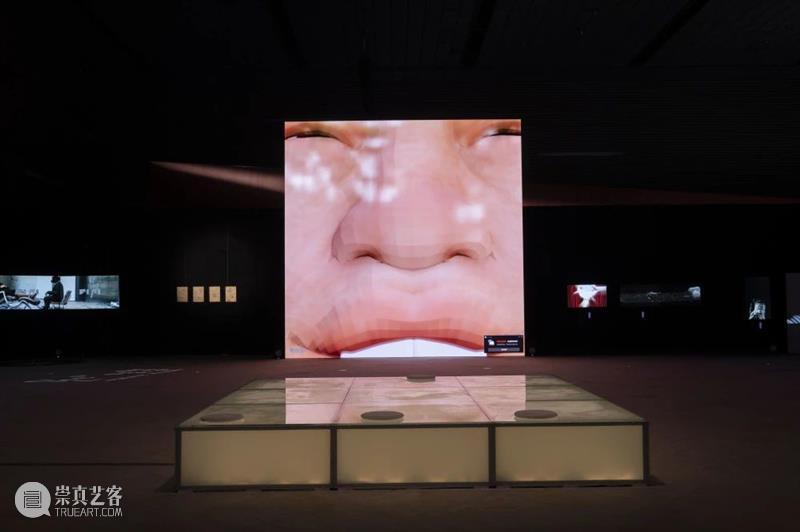 上海11月 |18个不可错过的新媒体艺术展 崇真艺客