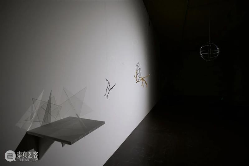 PAM展览 | “一个人在荒岛”特别项目《未知•时序•物》参与艺术家：Dieter Detzner 崇真艺客
