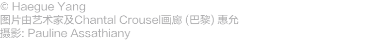 阿那亚大地艺术节｜梁慧圭：候鸟，在隐藏的叙事中飞跃边界 崇真艺客