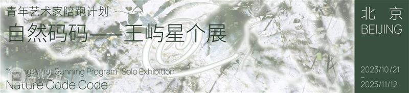 【2023发现奖】不完整的——吴雨航个展 崇真艺客