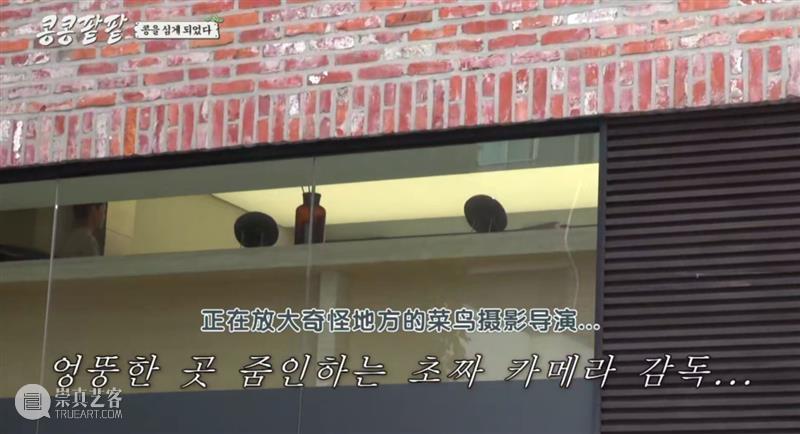 综艺之神回归，这新出真人秀一集笑得我大崩溃 崇真艺客