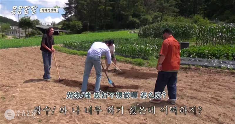 综艺之神回归，这新出真人秀一集笑得我大崩溃 崇真艺客