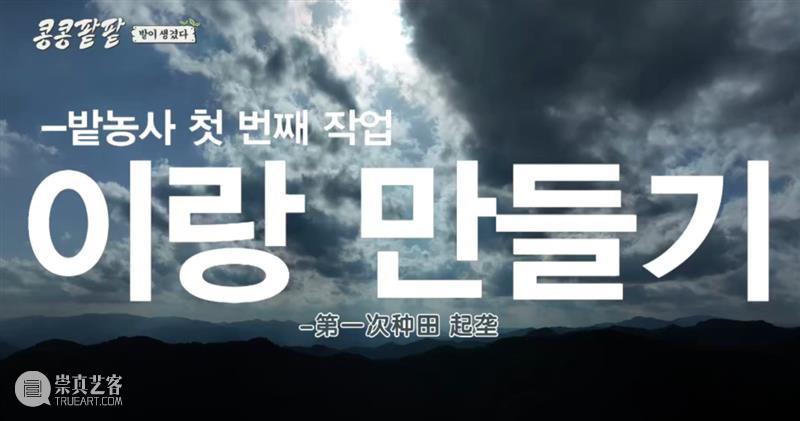 综艺之神回归，这新出真人秀一集笑得我大崩溃 崇真艺客