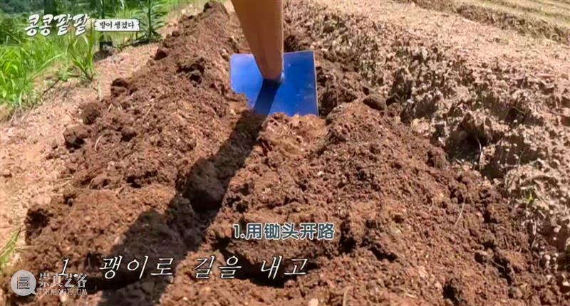 综艺之神回归，这新出真人秀一集笑得我大崩溃 崇真艺客