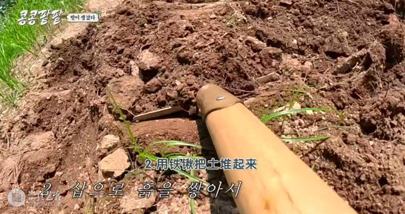 综艺之神回归，这新出真人秀一集笑得我大崩溃 崇真艺客