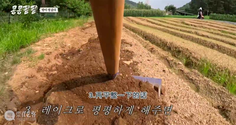 综艺之神回归，这新出真人秀一集笑得我大崩溃 崇真艺客
