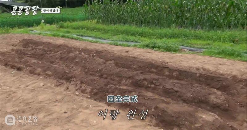 综艺之神回归，这新出真人秀一集笑得我大崩溃 崇真艺客