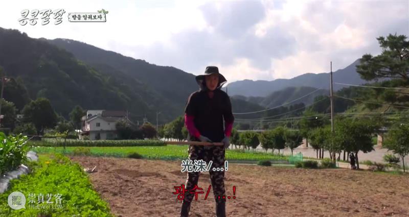 综艺之神回归，这新出真人秀一集笑得我大崩溃 崇真艺客