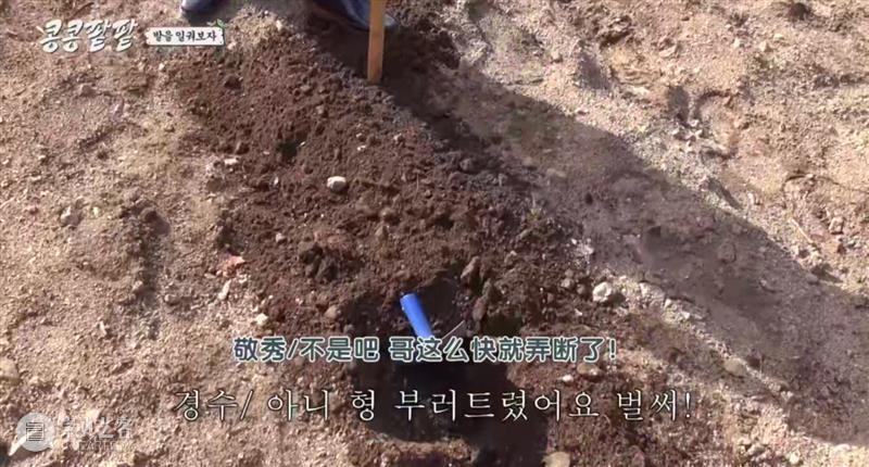 综艺之神回归，这新出真人秀一集笑得我大崩溃 崇真艺客