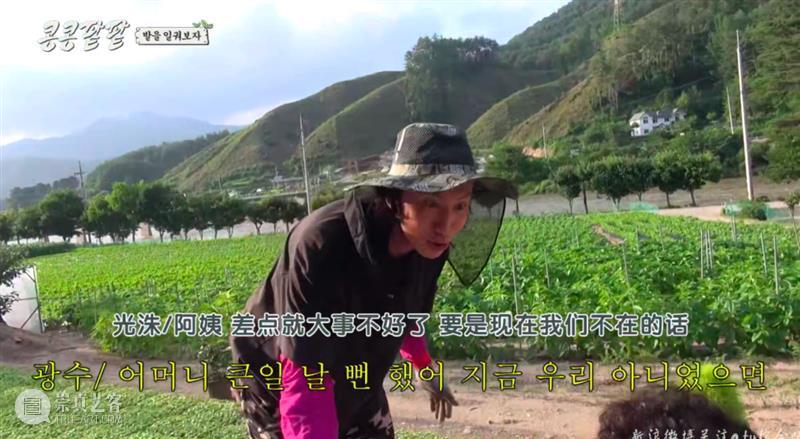 综艺之神回归，这新出真人秀一集笑得我大崩溃 崇真艺客