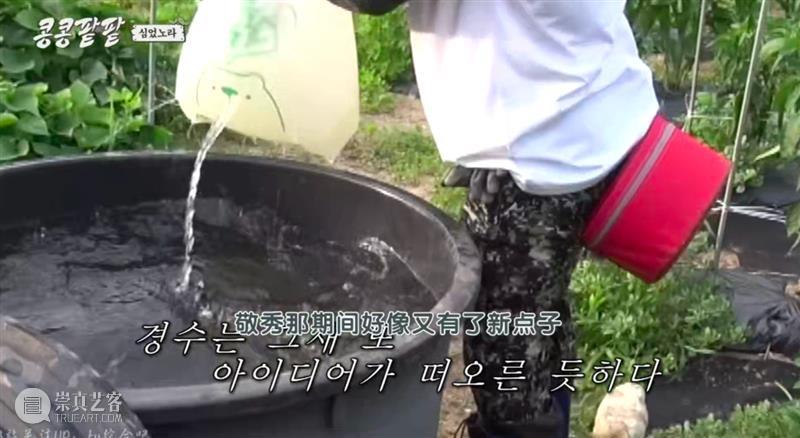 综艺之神回归，这新出真人秀一集笑得我大崩溃 崇真艺客