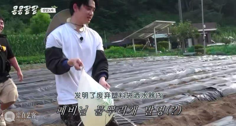 综艺之神回归，这新出真人秀一集笑得我大崩溃 崇真艺客