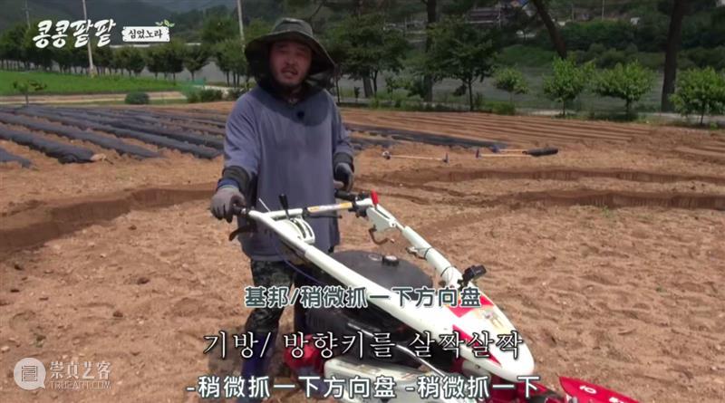 综艺之神回归，这新出真人秀一集笑得我大崩溃 崇真艺客