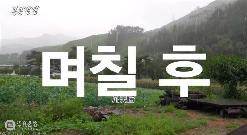 综艺之神回归，这新出真人秀一集笑得我大崩溃 崇真艺客