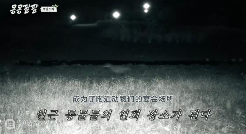 综艺之神回归，这新出真人秀一集笑得我大崩溃 崇真艺客