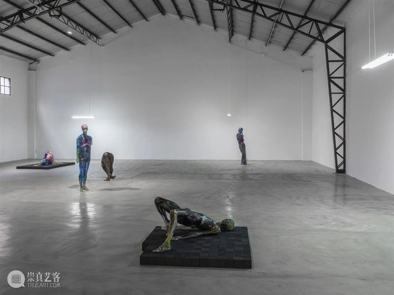 动态 | 王梓全个展“神经 海” 正在乔空间展出 崇真艺客