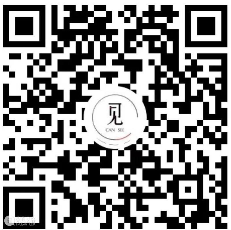 闭幕论坛 | 可见与可读——“隐语之书”张晓刚个展闭幕论坛 崇真艺客