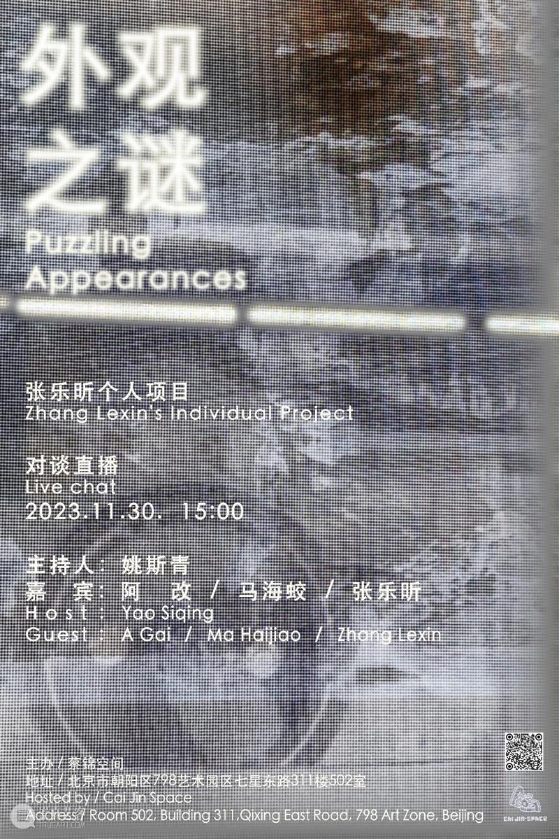 外观之谜 puzzling appearances /11.30.下午3点对谈直播|蔡锦空间 崇真艺客