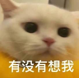 大鹏、白客《年会不能停!》定档;诺兰否认导演《007》电影 崇真艺客