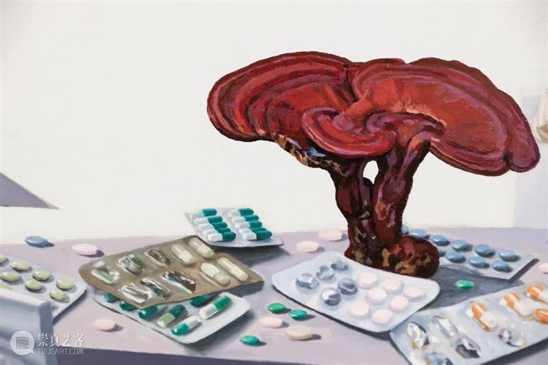 展览现场 | 他们+与当代艺术对话20年特别展 崇真艺客
