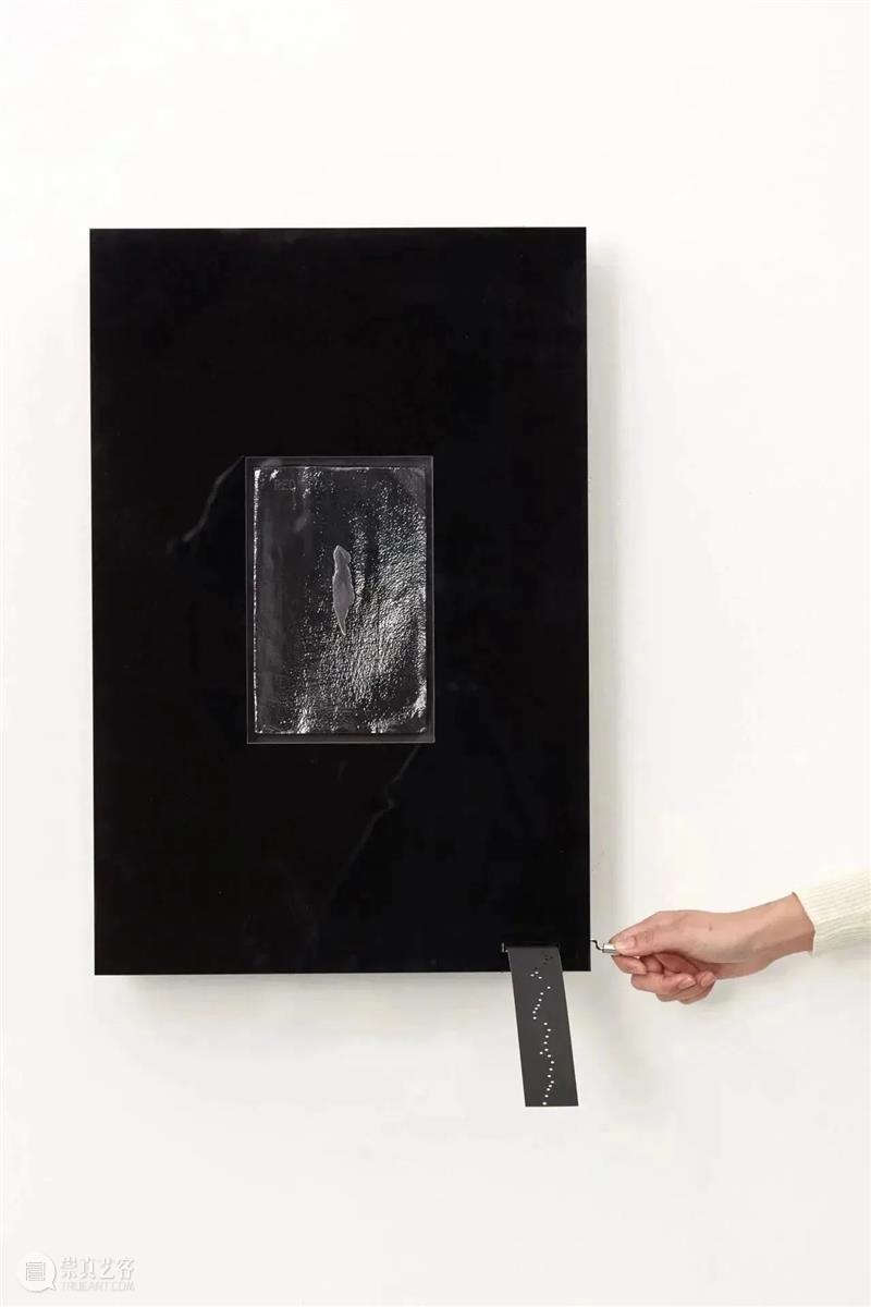 胡昀参加北丘当代美术馆展览“有人弄乱了玫瑰花” 崇真艺客