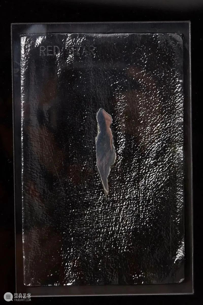 胡昀参加北丘当代美术馆展览“有人弄乱了玫瑰花” 崇真艺客
