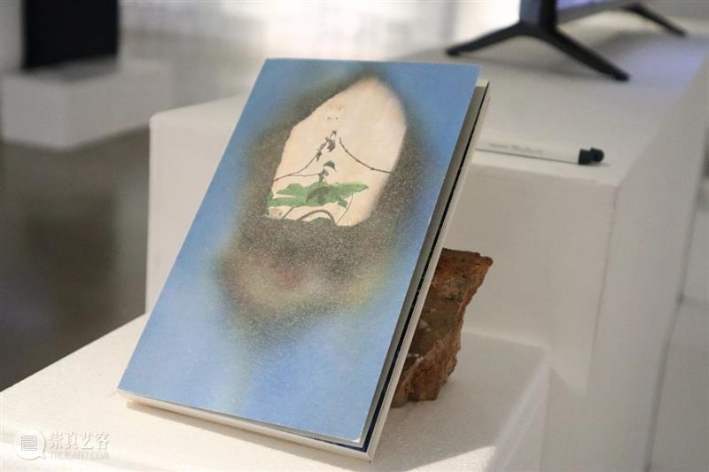 ARC 展评|东启:互助的起点是相互看见——评“分散话语” 崇真艺客