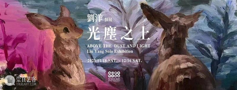 索卡北京 | 王小双“生命礼赞” x 张银亮“螺旋航行”双展将于12月1日开幕  索卡艺术 崇真艺客