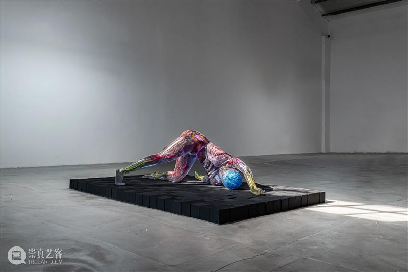 没顶画廊艺术家 | 王梓全 崇真艺客