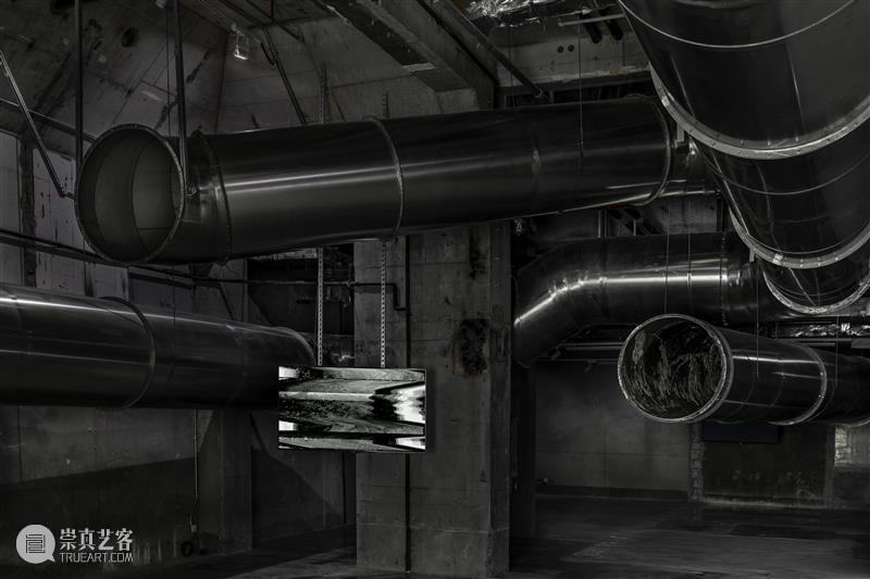 没顶画廊艺术家 | 王梓全 崇真艺客